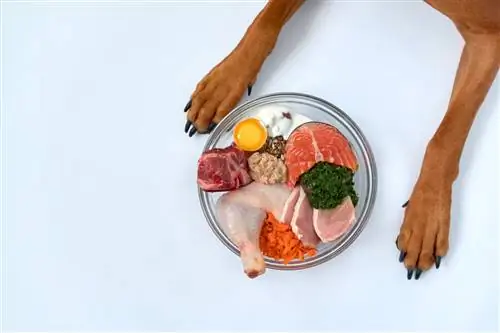 Естественная пища собаки.