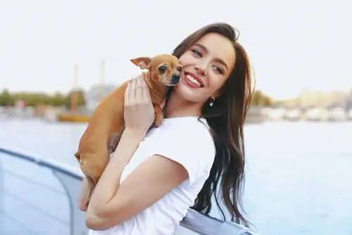 14 пород собак, которые мало растут 14 пород собак, которые мало растут