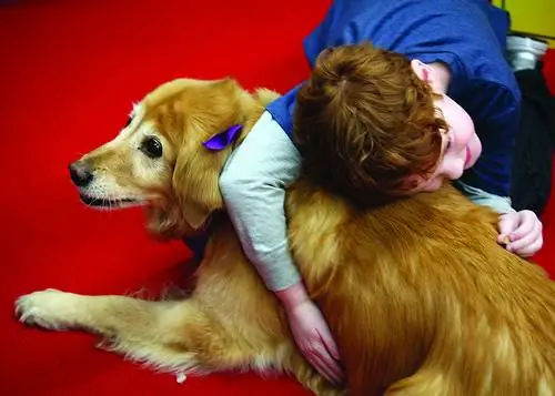 Эмоциональные преимущества ухода за животными