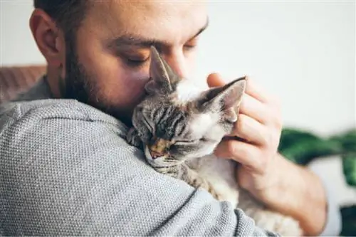Полезно ли спать с кошкой? Полезно ли спать с кошкой?