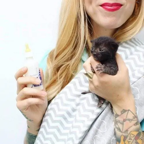 Kitten Lady: женщина, спасшая сотни котят Kitten Lady: женщина, спасшая сотни котят