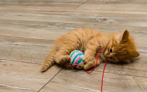 Самодельные игрушки для кошек
