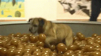 Источник: www.boredpanda.es Источник: www.boredpanda.es