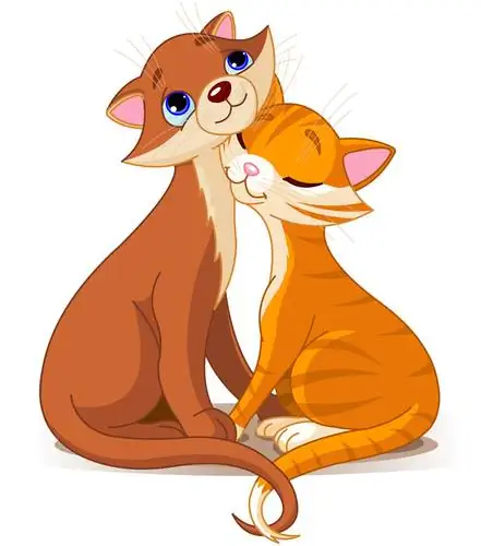 Размножение и течка у кошек