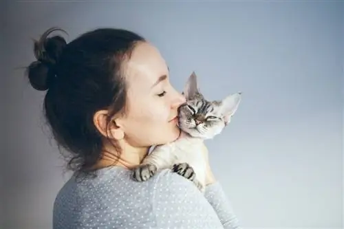12 советов, как ладить с кошкой