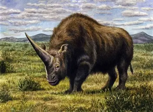 Elasmotherium sibiricum в среде обитания.