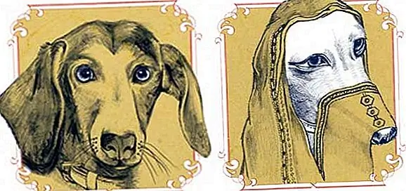 Прошлые жизни и секреты собак | Иллюстрация Кит Эндрю Шор Прошлые жизни и секреты собак | Иллюстрация Кит Эндрю Шор