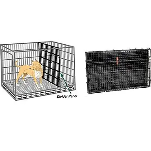 Источник изображения: Amazon.com Источник изображения: Amazon.com