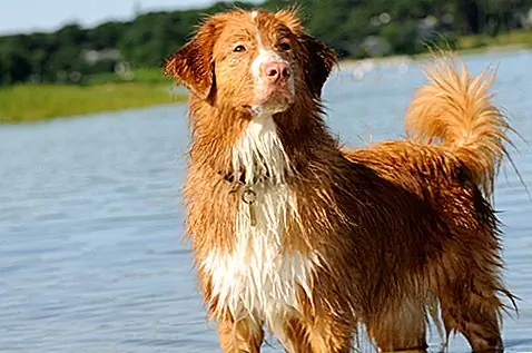 Ошибки вернулись в город. Что вы должны знать?
