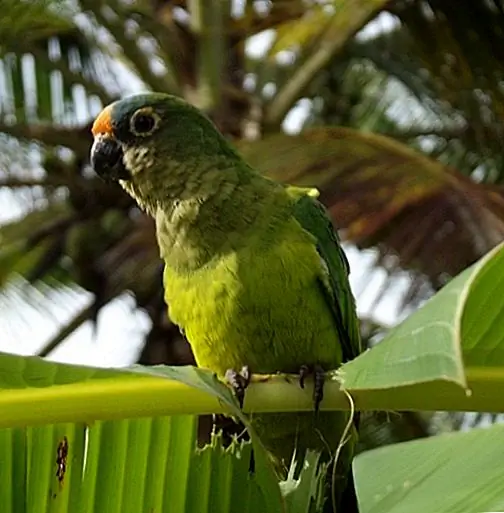 Image Image