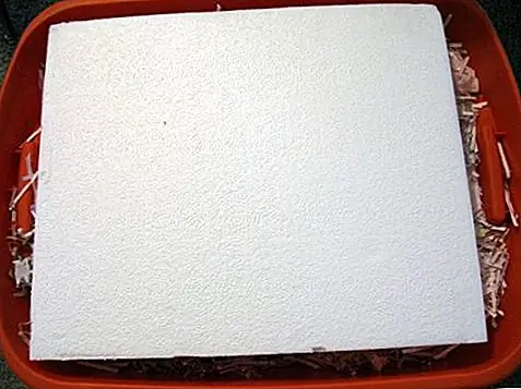 Image Image