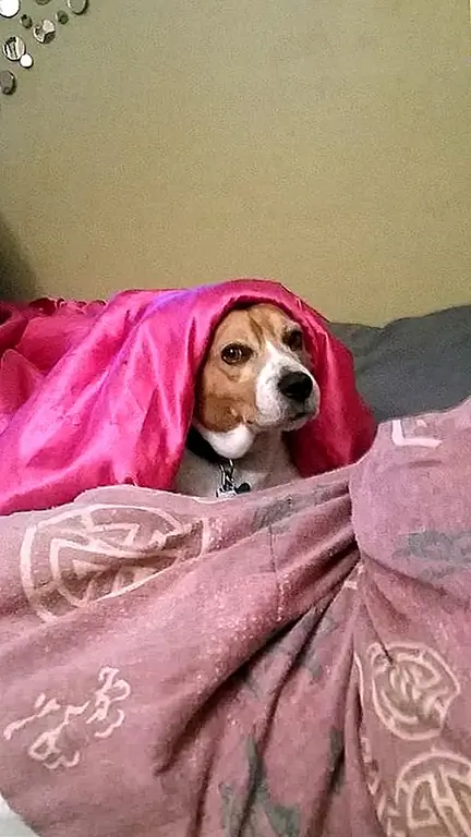 Фото предоставлено Alexis C.