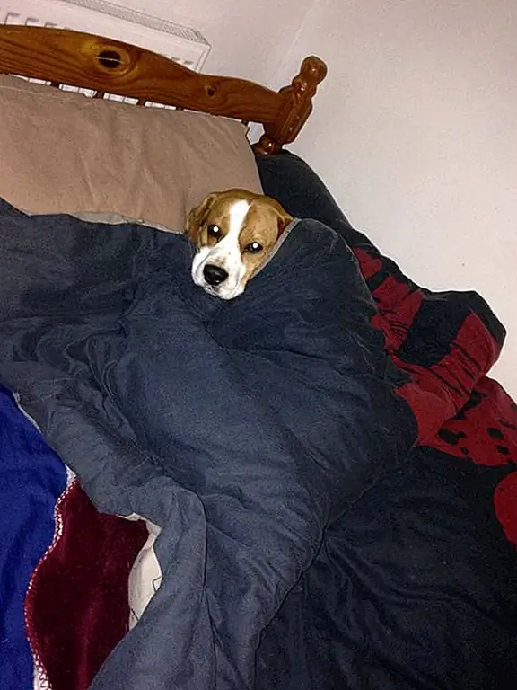 Фото предоставлено: «Оскар» Николая Г.