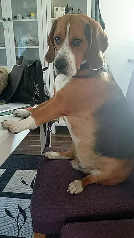 Фото предоставлено Анной Н. «Квинси».