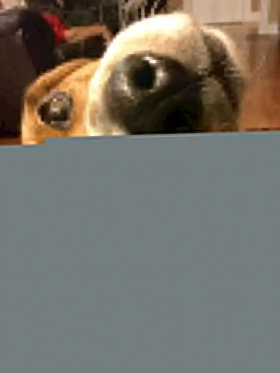 Фото предоставлено Кайлой Б. «Рейнджер».