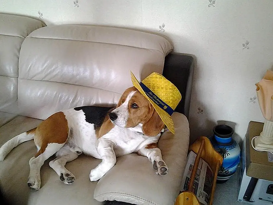 Фото предоставлено Элизабет М.