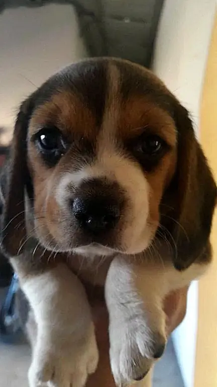 Фото предоставлено Габи М.