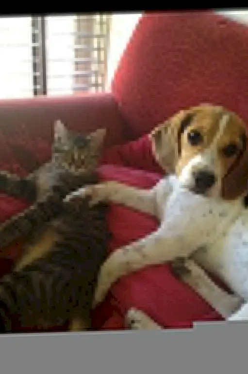 Фото предоставлено Марго Б. «Гая»