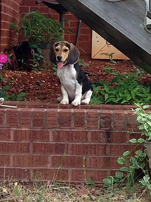 Кредит фотографии: Джейми В.