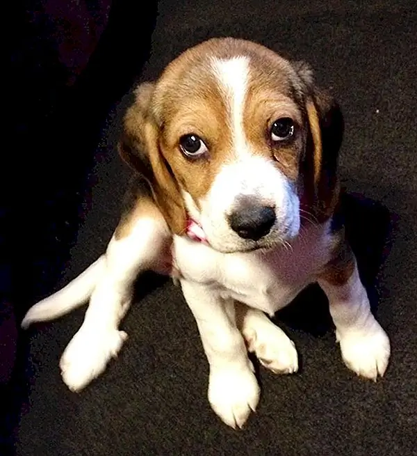 Фото предоставлено: «Халифа» Веренице М.