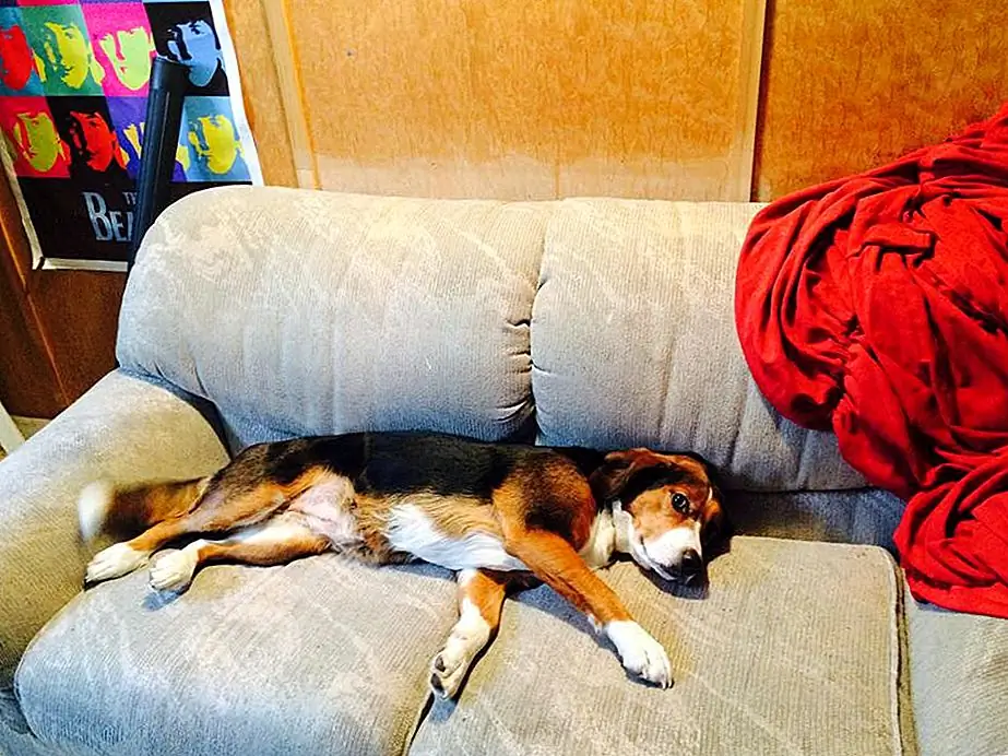 Фото предоставлено Ким Х.Д.