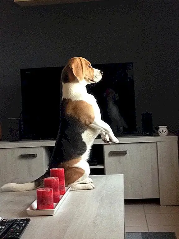 Фото предоставлено: «Лука» Солен С.