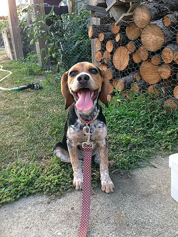 Фото предоставлено Эллисон Р. «Эбби».