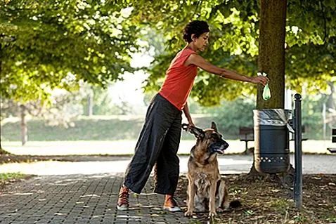 12 продуктов, которые делают Scoopin’Poop более терпимым