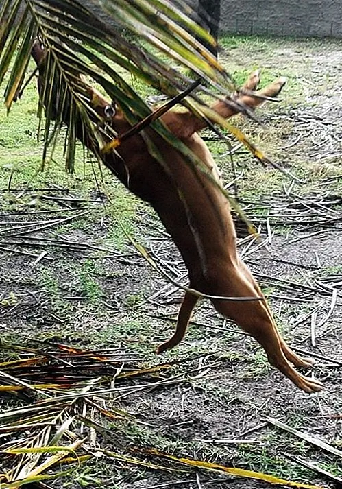 Image Image