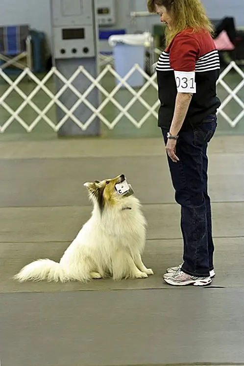 Image Image