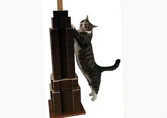 Небесный скребок, Etsy