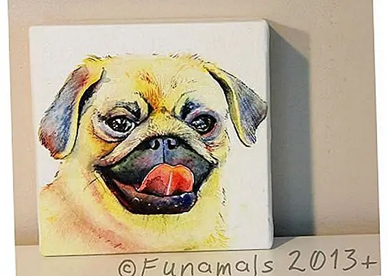 Funamals