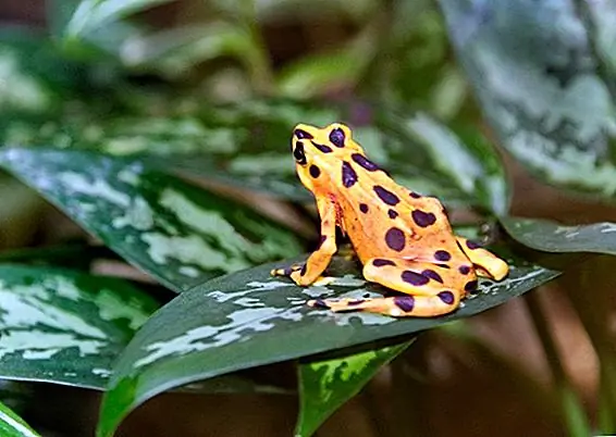 Кредит: iStockphoto