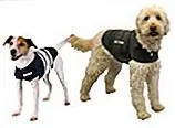 Кредит: Thundershirt.com Кредит: Thundershirt.com