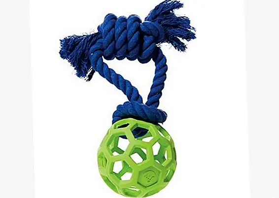 Кредит: Petsmart