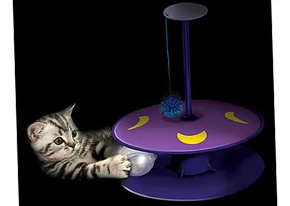 Интерактивные игрушки для кошек для вашего праздничного кошачьего