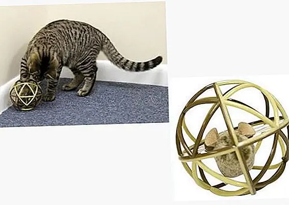 ShopOurPets.com