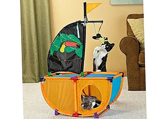 PetSmart