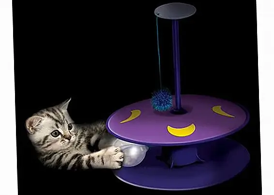 cattoys.com