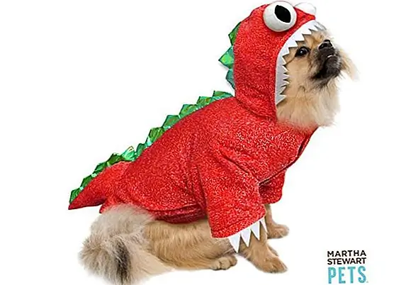 PetSmart