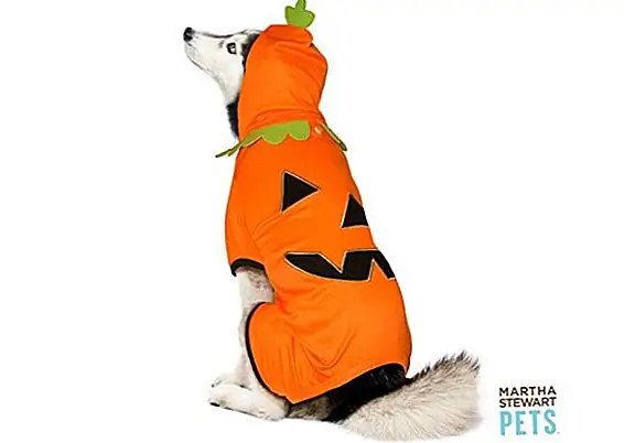 PetSmart