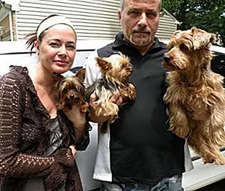Предоставлено Студ Стоппер Тина и Дэвид Муди позируют со своими собаками, Сочные, Дора и Маленький Человек.