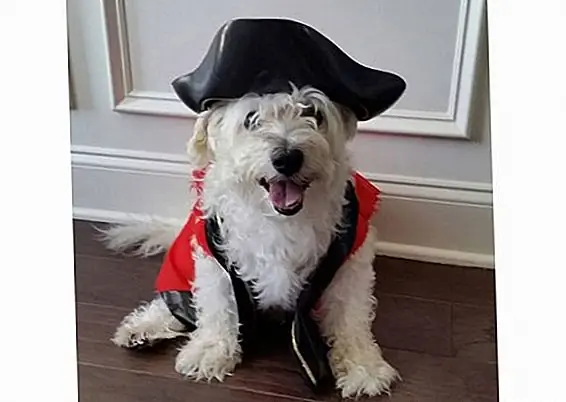 thehappyschnoodle через Instagram