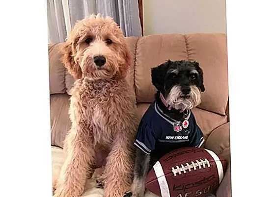 bauerandwinnie101 через Instagram