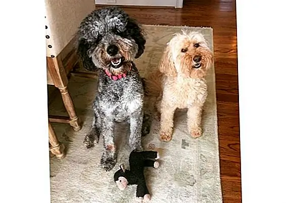 счастья через Instagram