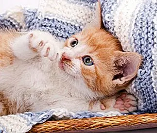 Thinkstock Thinkstock