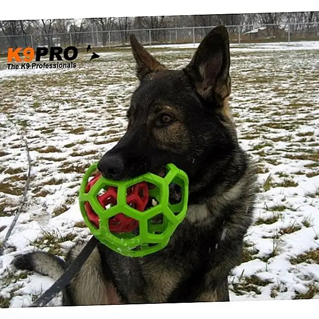 Источник изображения: K9pro.com.au Источник изображения: K9pro.com.au