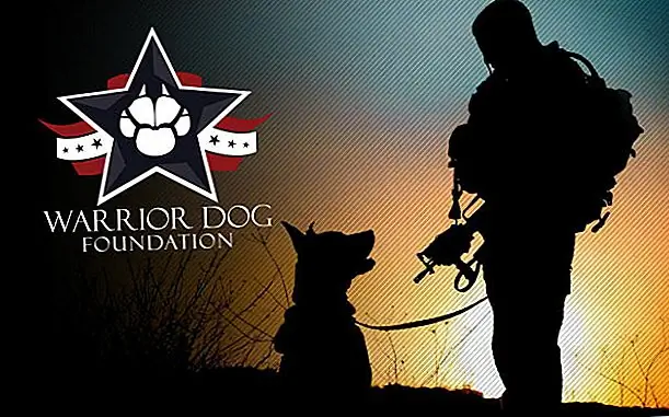 Источник изображения: WarriorDogFoundation.org Источник изображения: WarriorDogFoundation.org