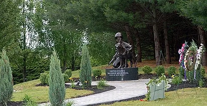 Источник изображения: USWarDogs.org Источник изображения: USWarDogs.org