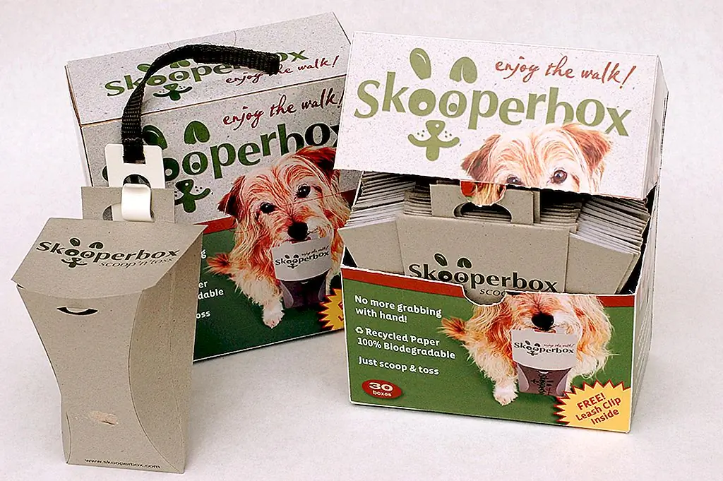 Источник изображения: skooperbox.com